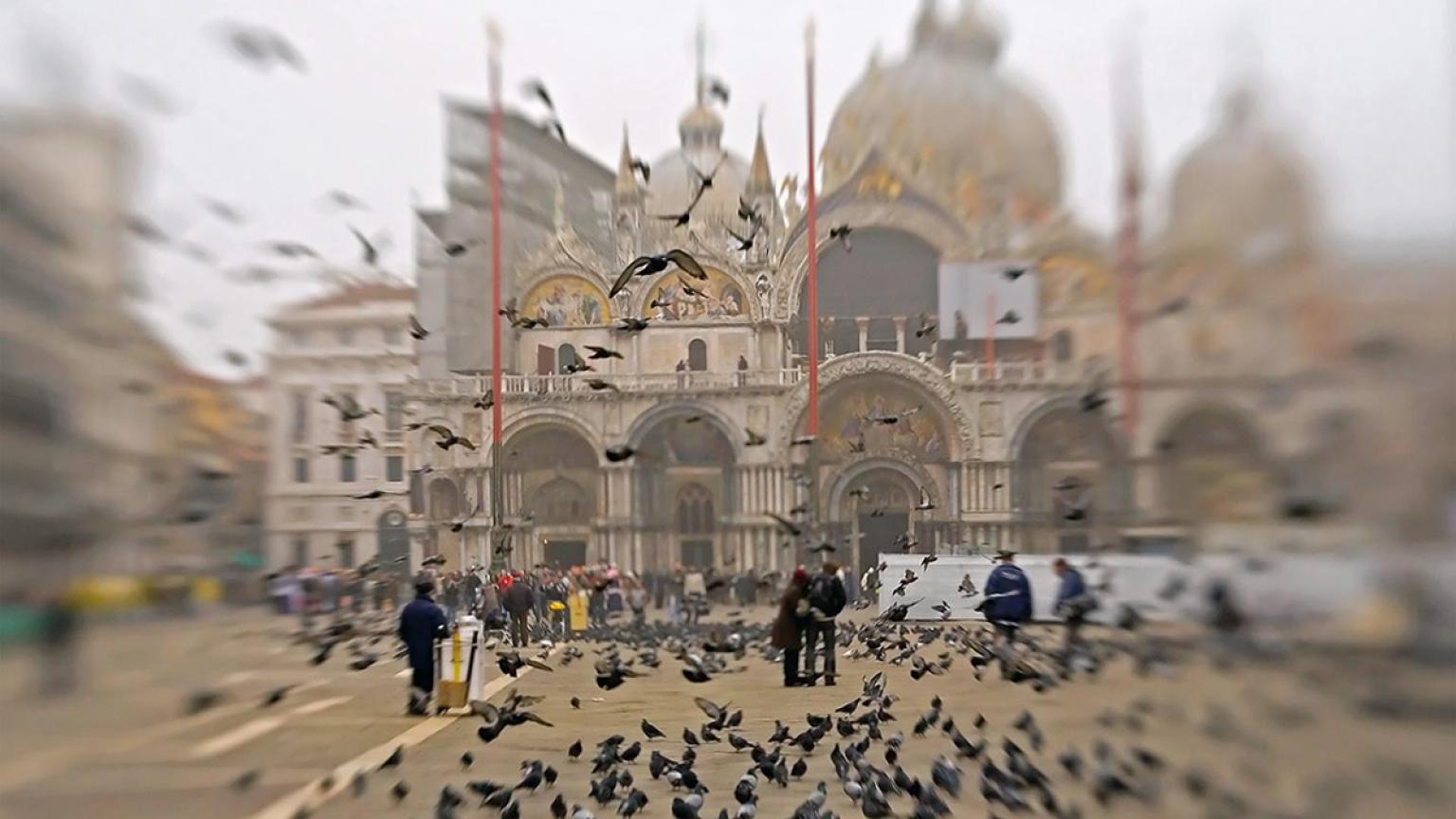 Plaza de San Marcos, Venecia, Italia