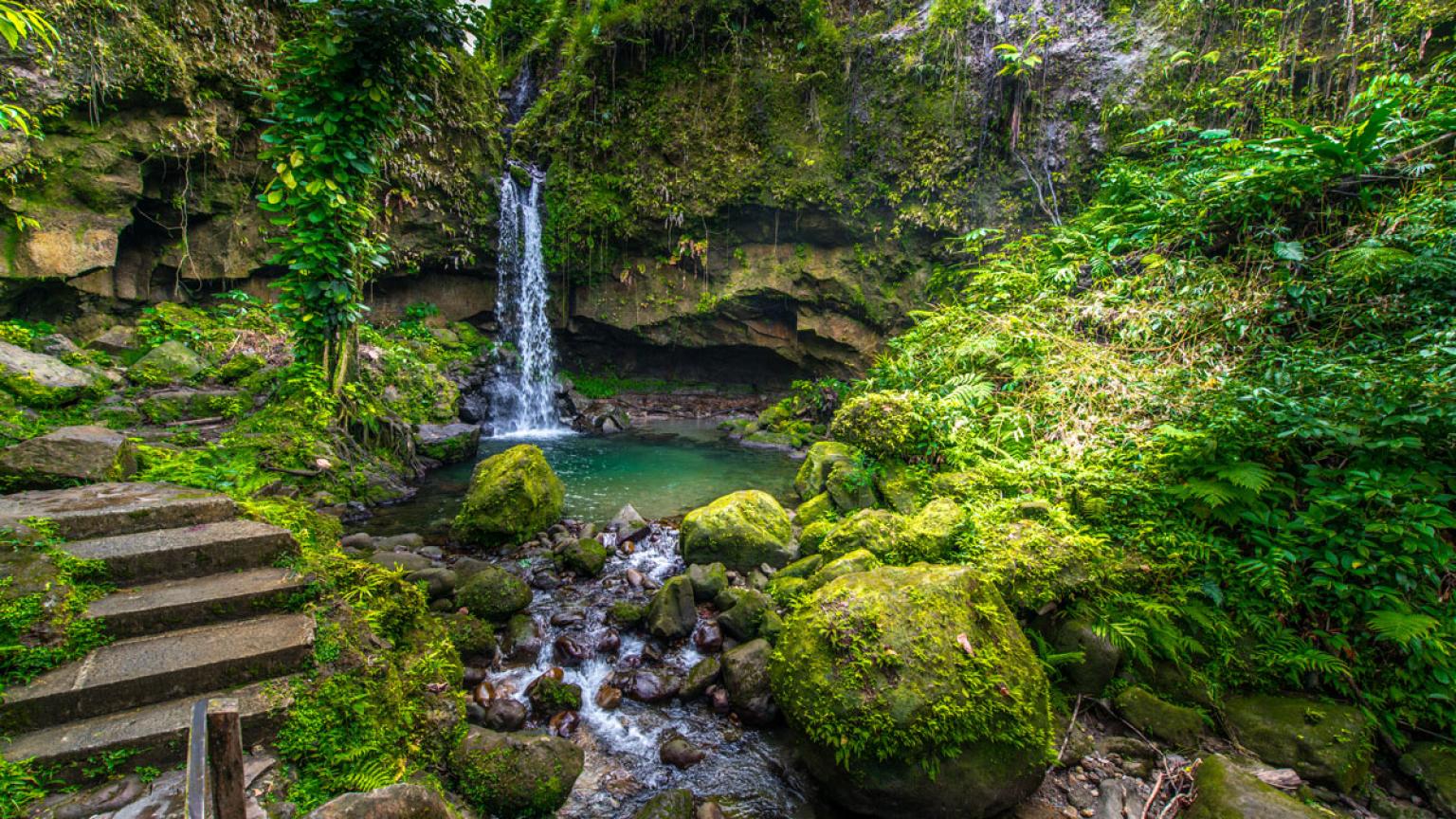 Emerald Pool en el Parque Nacional Morne Trois Pitons.