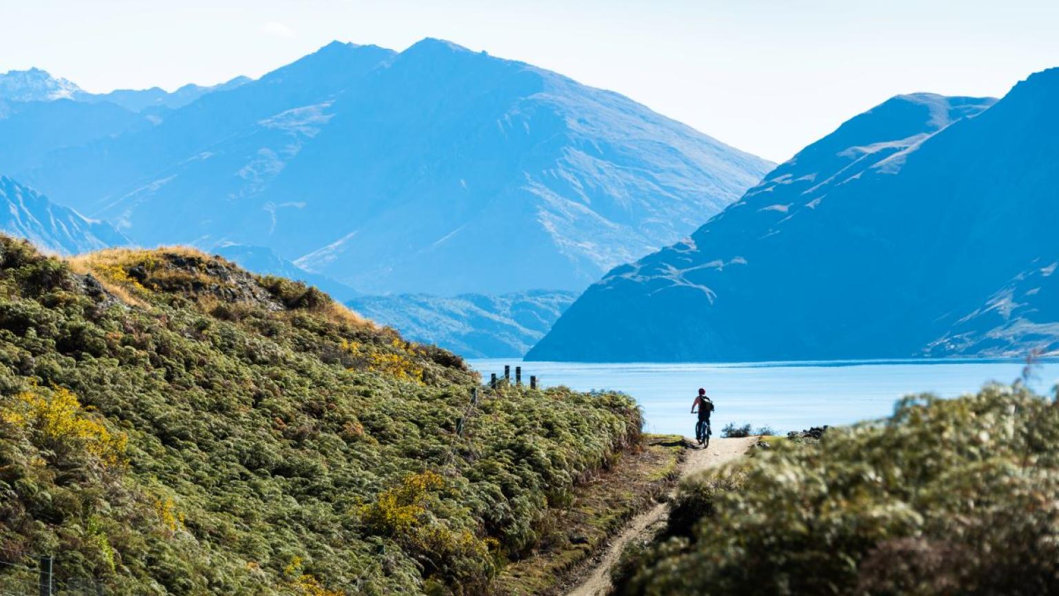 Turista montando en bicicleta en la pista de Glendhu Bay a lo largo del lago Wanaka