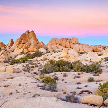 Joshua Tree National Park, California, Estados Unidos