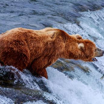 Parque Nacional Katmani, Alaska, EE UU