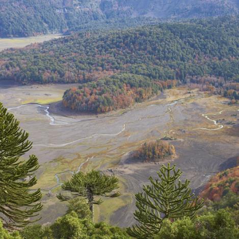 Parque Nacional Conguillío, Parques Nacionales de La Araucanía, Chile