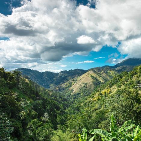 Blue Mountain, Jamaica