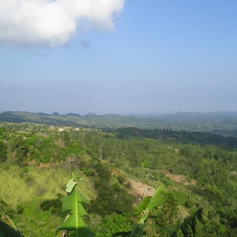 Cockpit Country, Jamaica