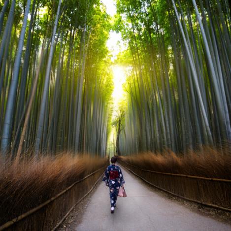 Bosque de bambú de Arashiyama, Japón