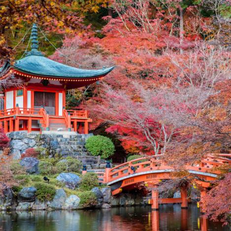 Templos y jardines, Kioto, Japón