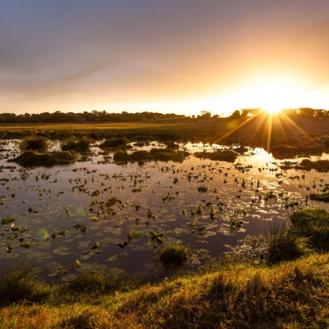 Parque del Humedal de iSimangaliso, Sudáfrica