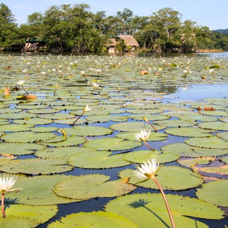 Río Dulce, Guatemala