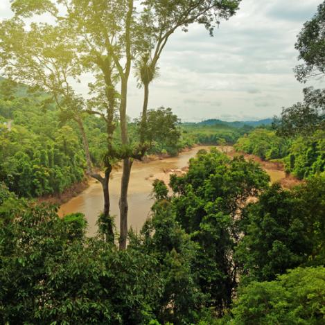 Taman Negara, Malasia