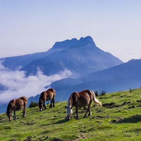 Parque Natural de Aiako Harria, Gipuzkoa, España