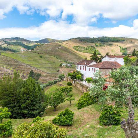 Viñedos de Alto Douro, Portugal