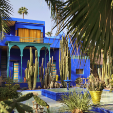 Jardin Majorelle en Marrakech. El artista Jacques Majorelle pasó 40 años creando el oasis en el corazón de la ciudad ocre. © Tupungato / Shutterstock