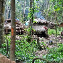 Poblado 'batek', Malasia