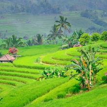 Ubud, Bali, Indonesia