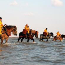 'Paardenvissers', Oostduinkerke, Bélgica © www.koksijde.be