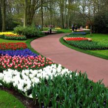 Keukenhof, Países Bajos