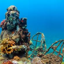 Una estatua de Buda cubierta de coral descansa en el fondo del mar, cerca de la costa de Pemuteran, Bali, Indonesia