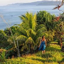 Bahía Drake, Península de Osa, Costa Rica