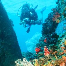 Submarinismo en la isla de Mahé, Seychelles