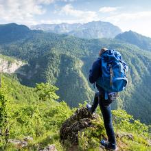 Contemplando el prístino bosque del Parque Nacional Sutjeska, Bosnia y Herzegovina