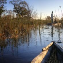 Un paseo en barco por el delta del Okavango, Botsuana