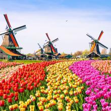 Zaanse Schans, Holanda