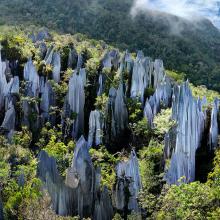 Parque Nacional de Gunung Mulu, Malasia