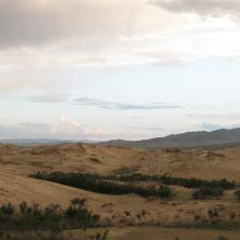 Desierto de Gobi, Mongolia