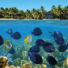 Bocas del Toro, Panamá