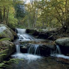 Parque Natural del Montseny, Barcelona, Catalunya, España