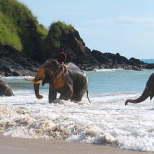 Klong Jark beach, Tailandia