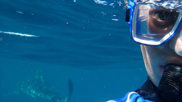 Ningaloo © Andy Tyler - www.flickr.com/photos/andy_tyler/7263277094