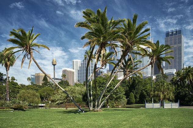 Royal Botanic Garden en Sídney. ©Simon Bradfield/Getty Images