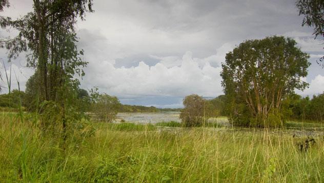 Parque Nacional Kadaku © pixculture - www.flickr.com/photos/pixculture/8309751954