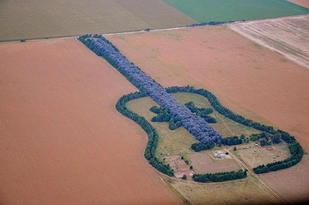 El Bosque Guitarra, Córdoba, Argentina