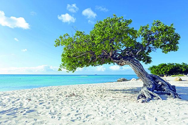 Aruba, país Top 4 Best in Travel 2020