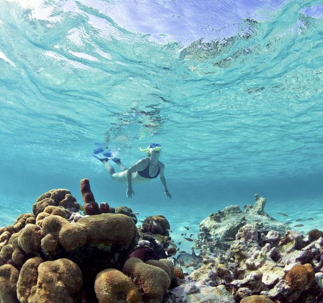 Buceo con tubo en arrecifes de Belice © Doug Berry / Getty Images