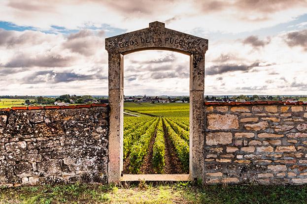 Clos de la Pucelle