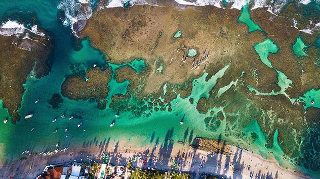 Piscina oceánica: Porto de Galinhas, Brasil