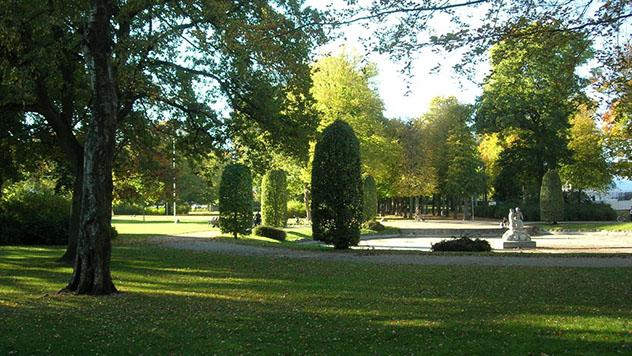 Árboles cantores de Aalborg, Dinamarca