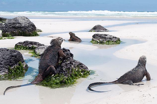 Islas Galápagos, Ecuador