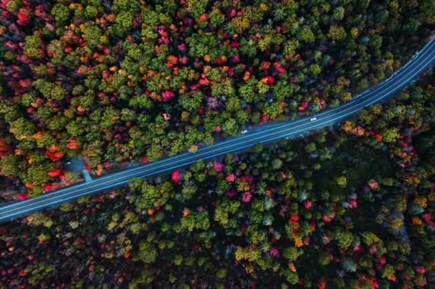 La carretera que atraviesa el Minnewaska State Park Preserve, las Catskills, costa este de EE UU © ricardocostaphotography / Getty Images