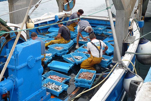 Pescadiores en el port de Palamós, ruta por la Costa Brava, Cataluña por carretera