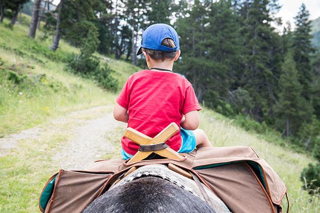 ‘Trekking’ con burro, Pirineos, España y Francia, Viajar con niños por Europa