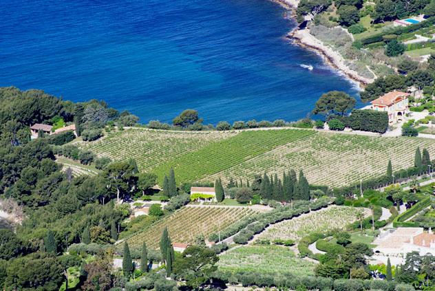 Viñedos Clos St Magdeleine, Cassis, Provenza, Francia © www.clossaintemagdeleine.fr