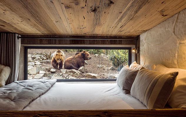 Hotel europeo: Safari Lodge, Francia