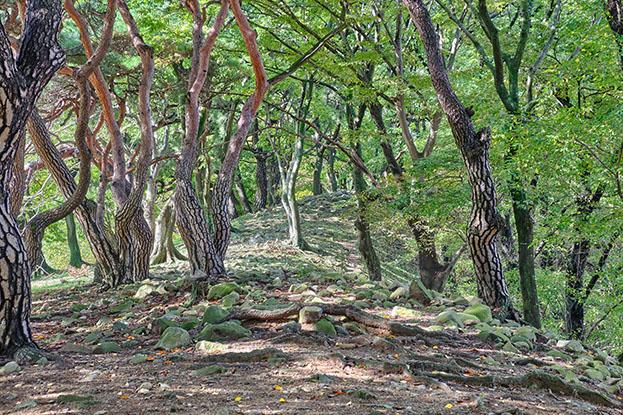 Gyeongju National Park