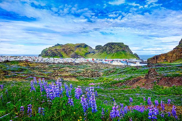 Primavera en Vestmannaeyjar © silky/Shutterstock.