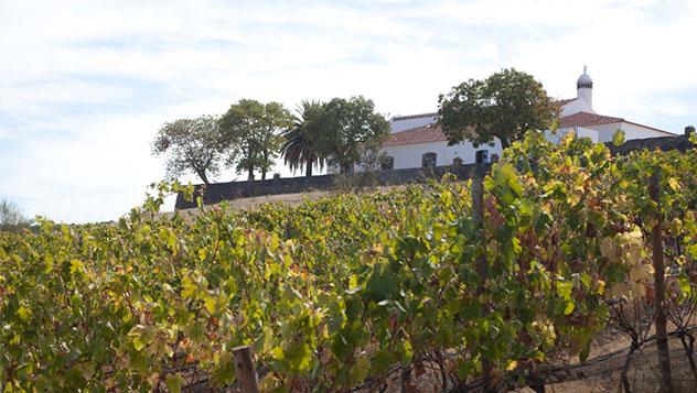 Viñedos y finca Herarde do Bau, Beja (Alentejo)