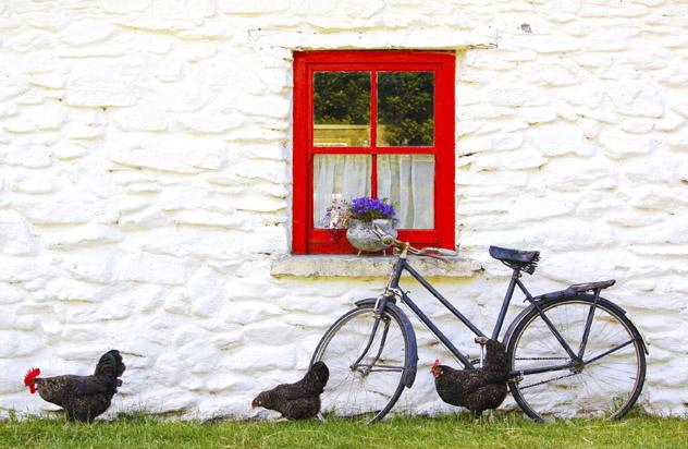 Condado de Cork, Irlanda © andhal / Getty Images / iStockphoto